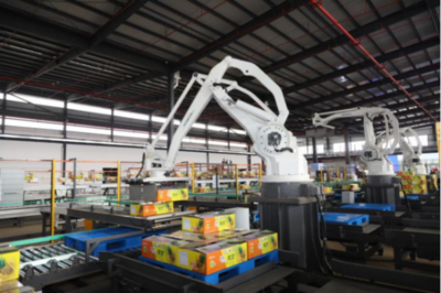 廣東徐聞?wù)\邀大家一起吃菠蘿啦!