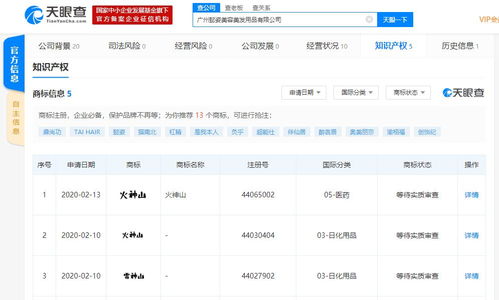 朝陽區頂格處罰搶注火神山商標代理機構10萬元，彰顯知識產權保護決心